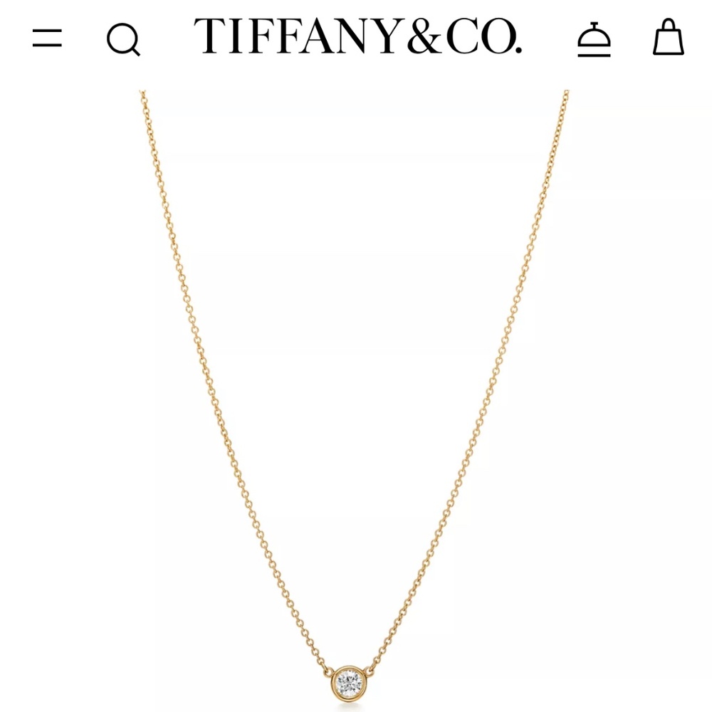Tiffany & Co. Necklace. Original price $1600.
